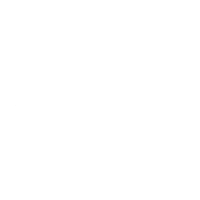 Alge Electronics_logo