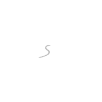 velospring_logo-1